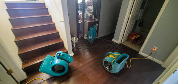Best Local water damage restoration  in Bessemer, MI