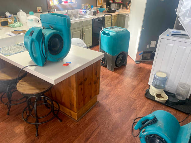Best Local water damage restoration  in Bessemer, MI