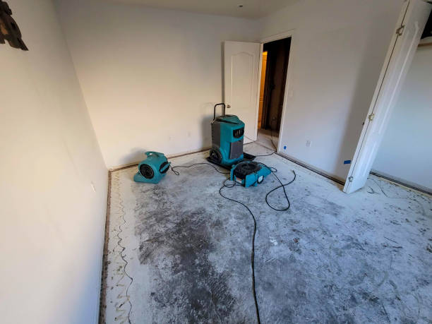 Best Basement water damage restoration  in Bessemer, MI