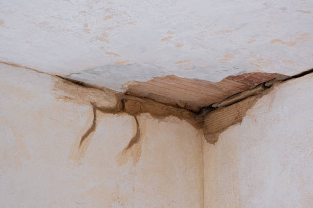 Best Water damage restoration near me  in Bessemer, MI