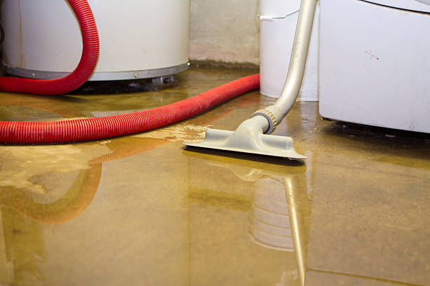 Best Flooded house restoration  in Bessemer, MI