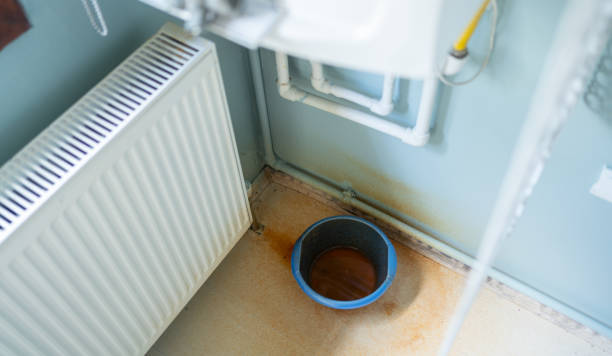 Best Flooded house restoration  in Bessemer, MI