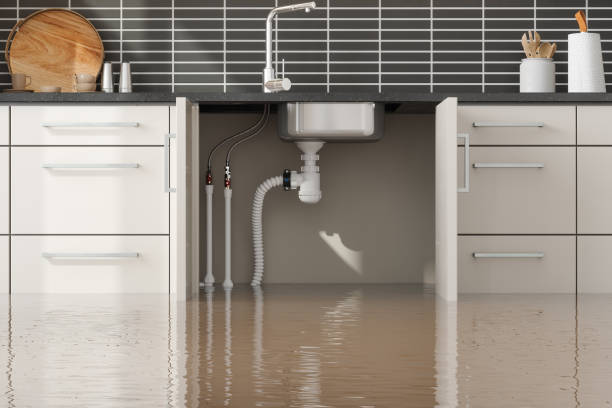 Best Water damage restoration services  in Bessemer, MI