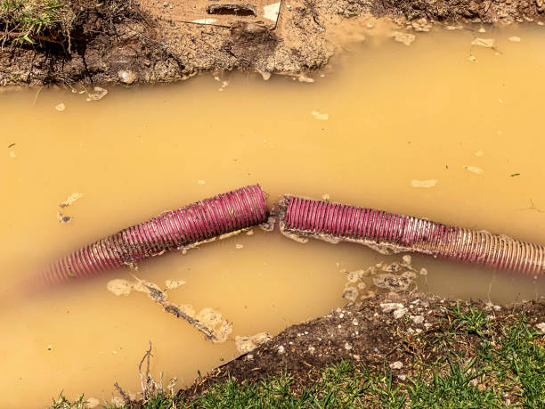 Best Water damage restoration specialists  in Bessemer, MI