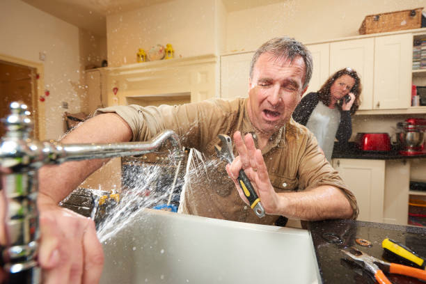Best Flooded house restoration  in Bessemer, MI